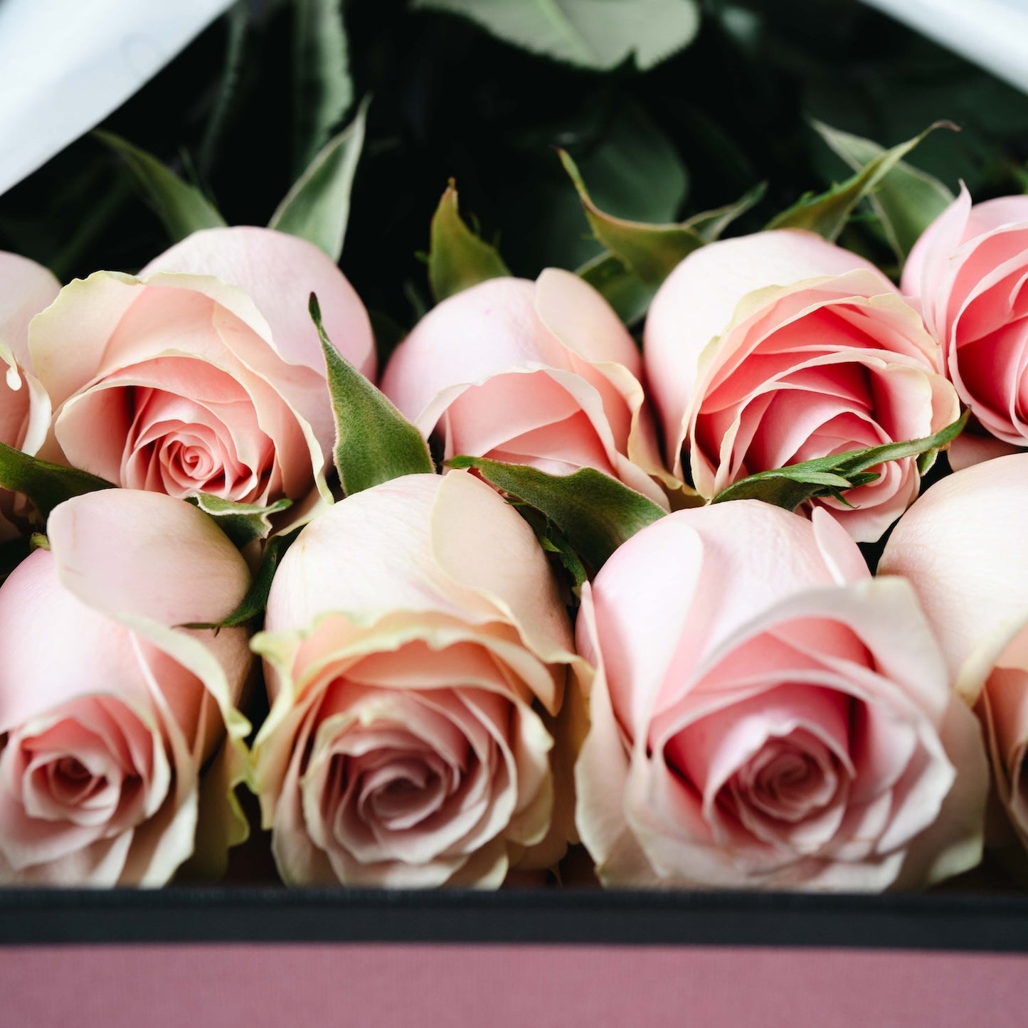 Buquê de rosas cor-de-rosa premium em caixa de luxo
