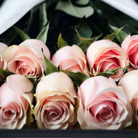 Caja Premium de Rosas Rosadas