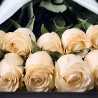 Caja Premium de Rosas Blancas