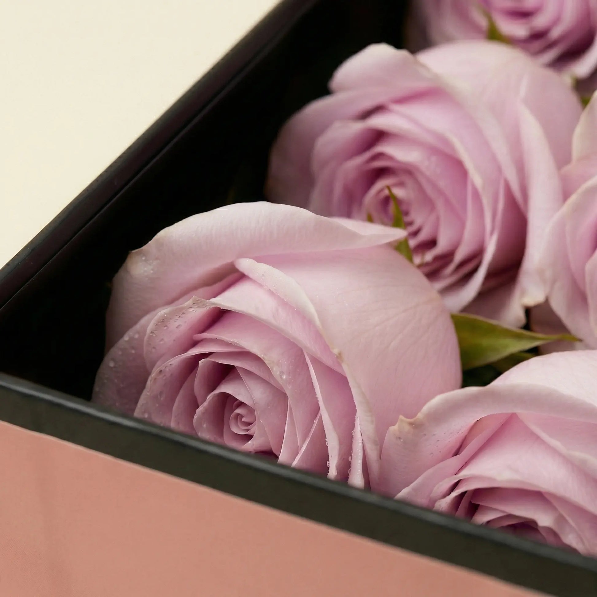 Flute Box zoom in of lilac roses